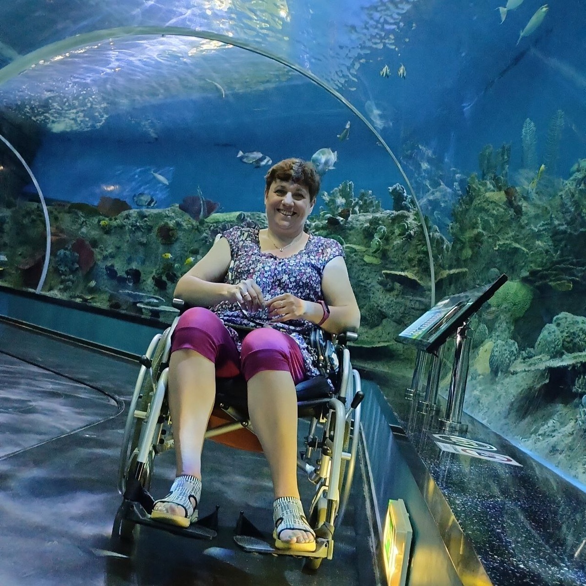 Променад по владивостокскому Океанариуму