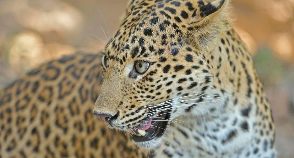    Aditya Singh/imageBROKER.com / www.globallookpress.com