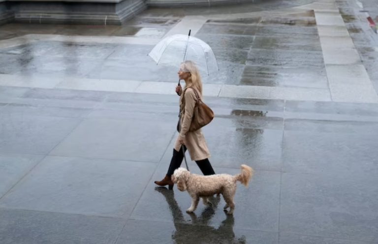    Фото: ru.freepik.com Анфиса Слепцова