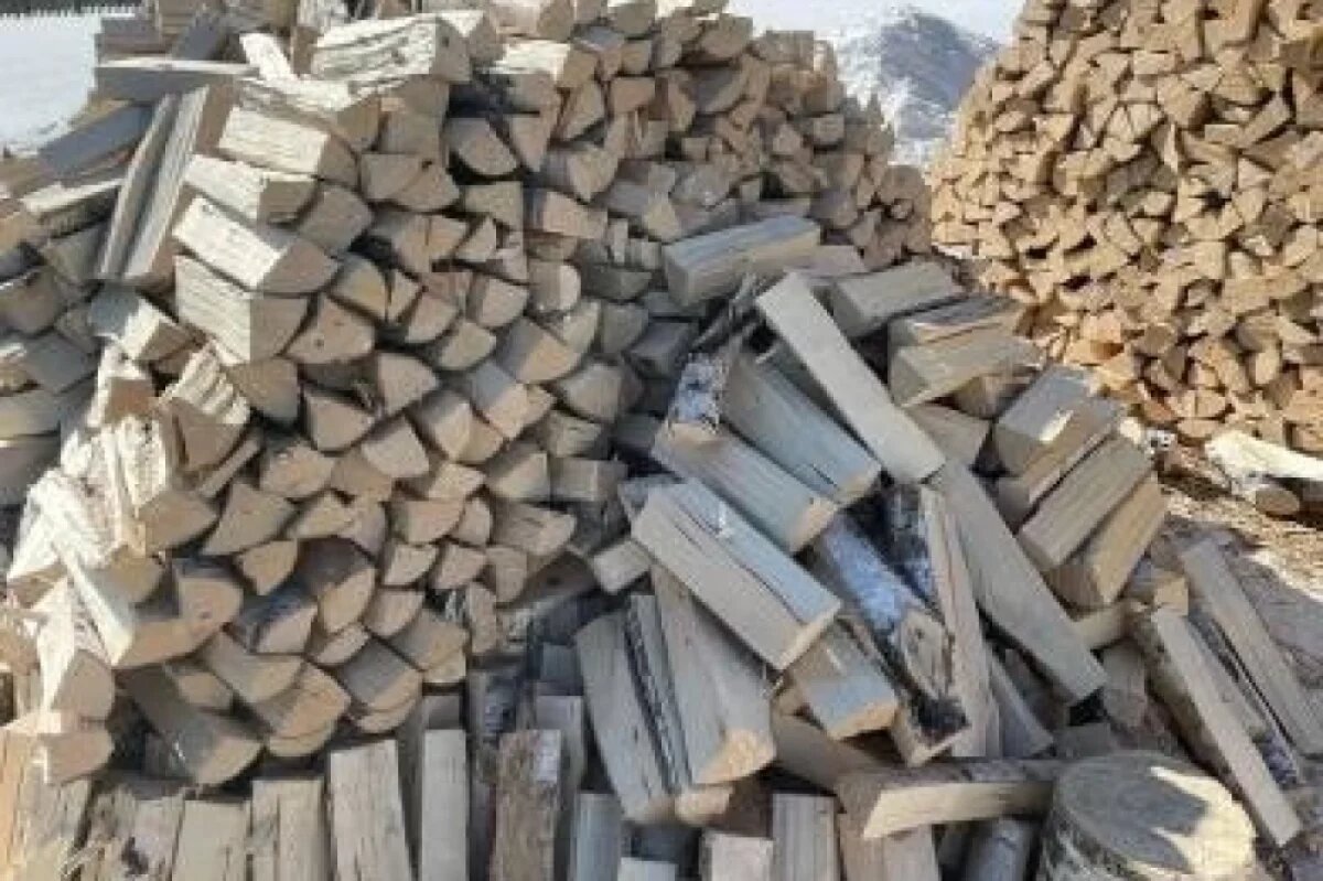    Редкие деревья на 500 тысяч рублей пустил на дрова житель Хабаровского края