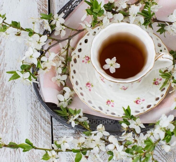 Фото из сети интернет. В открытом доступе.