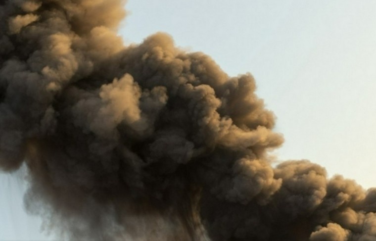    Shutterstock|FOTODOM