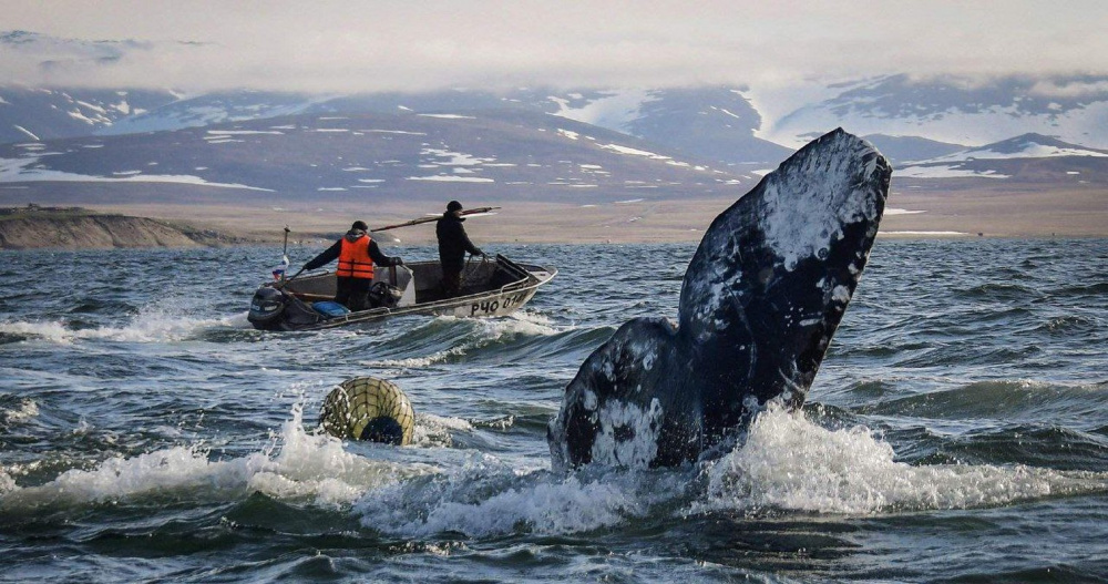 Фото: t.me/depshp_chukotka