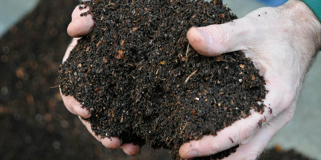 Перестал бесконечно ждать компост: 5 секретов сотворения отменного чернозёма