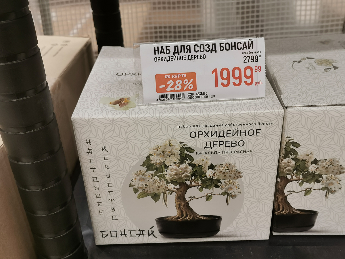 Хотите бонсай вырастить?) В наборе идут семена, плошка и грунт) А главное - инструкция! И медитация "Любование Бонсай"