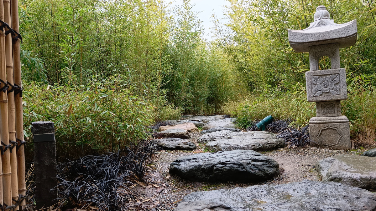Бамбуковая роща в Японском Саду:)