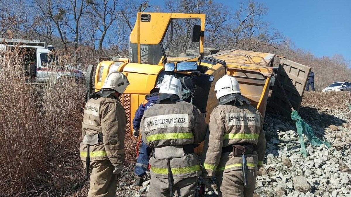     Источник: primgochs