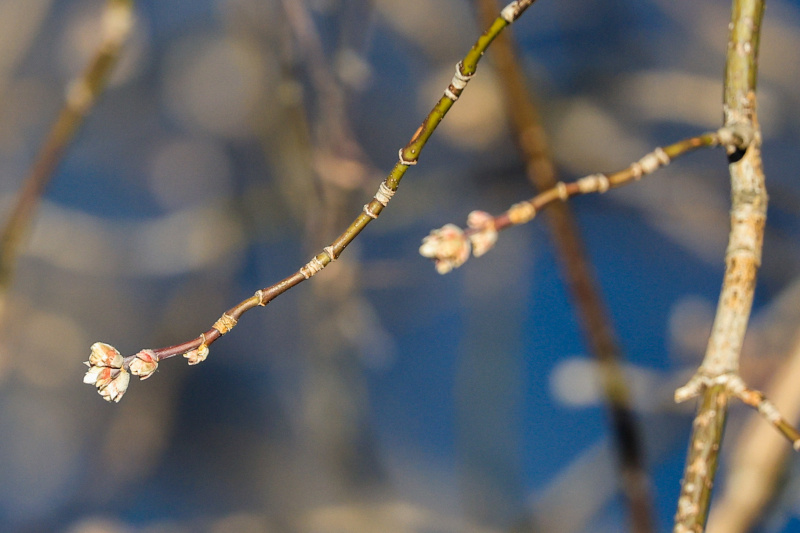    Фото: Shatokhina Natalia/news.ru/Globallookpress