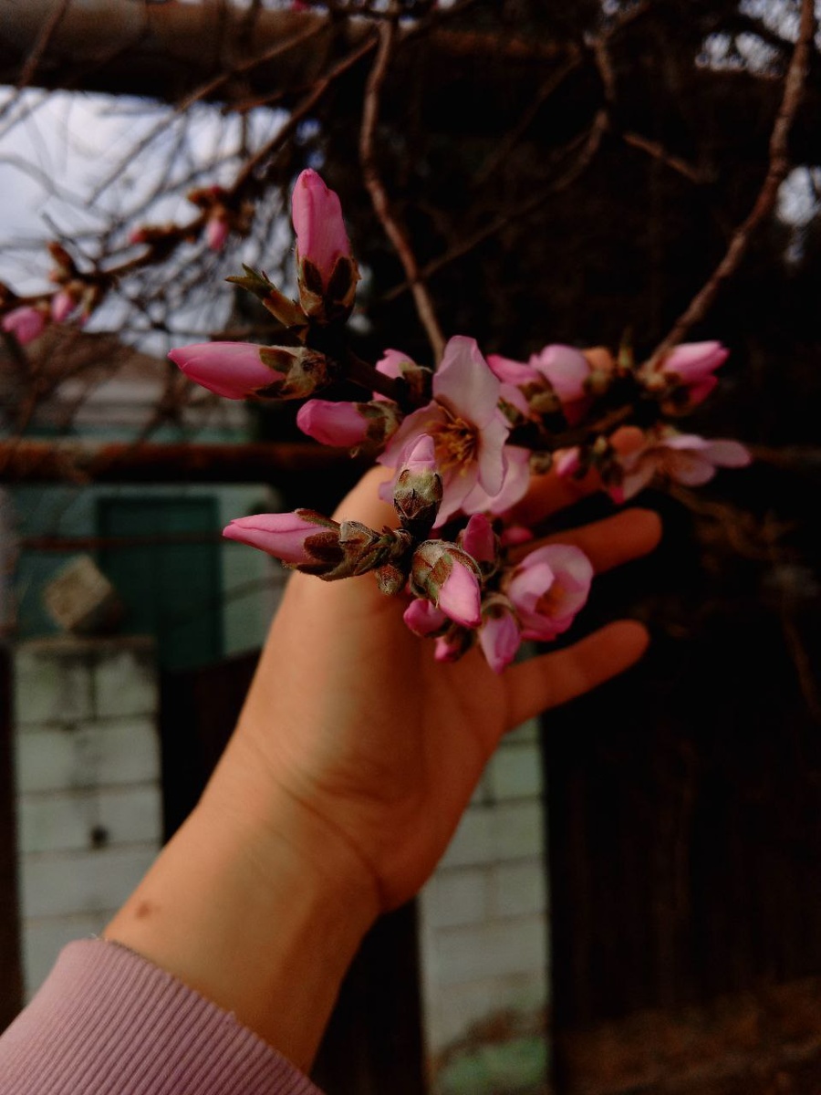 Весна в Тамани. И я с ней.