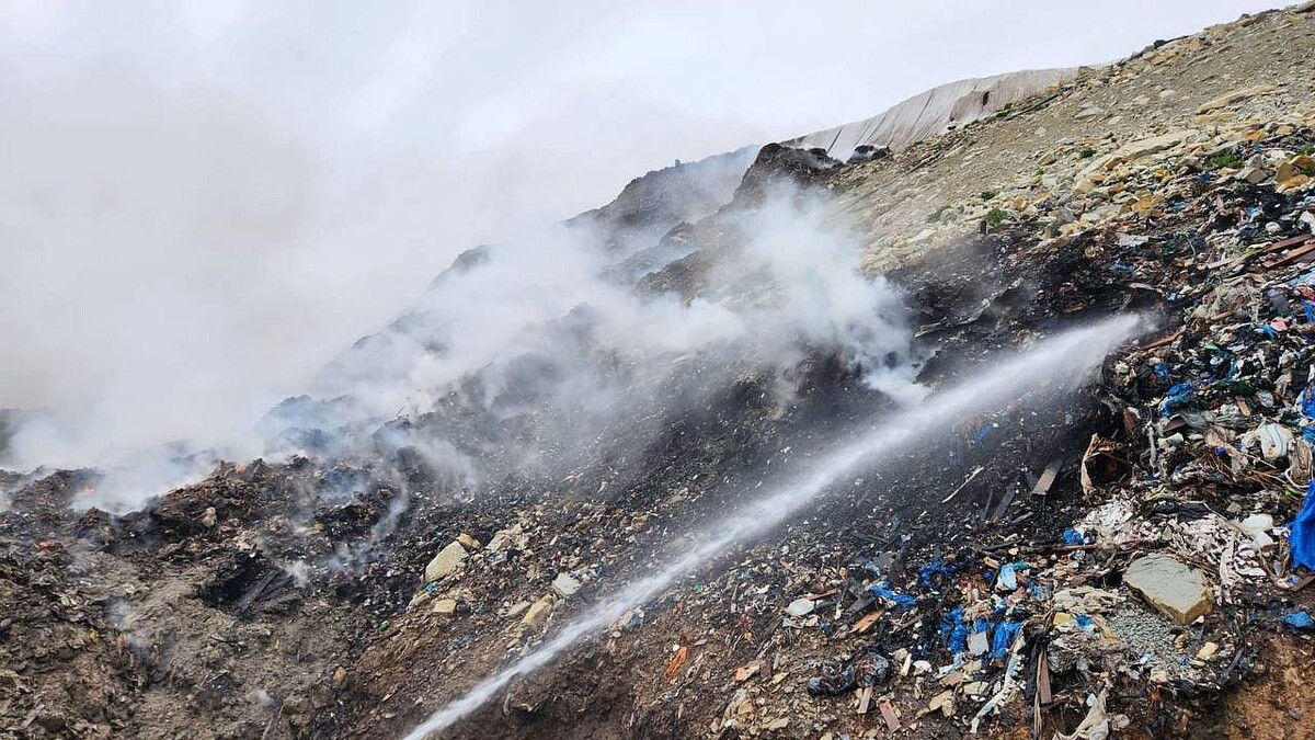    Фото: t.me/Gavrikovzam