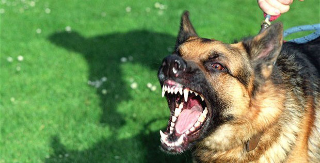 Зубы, детство и любовь