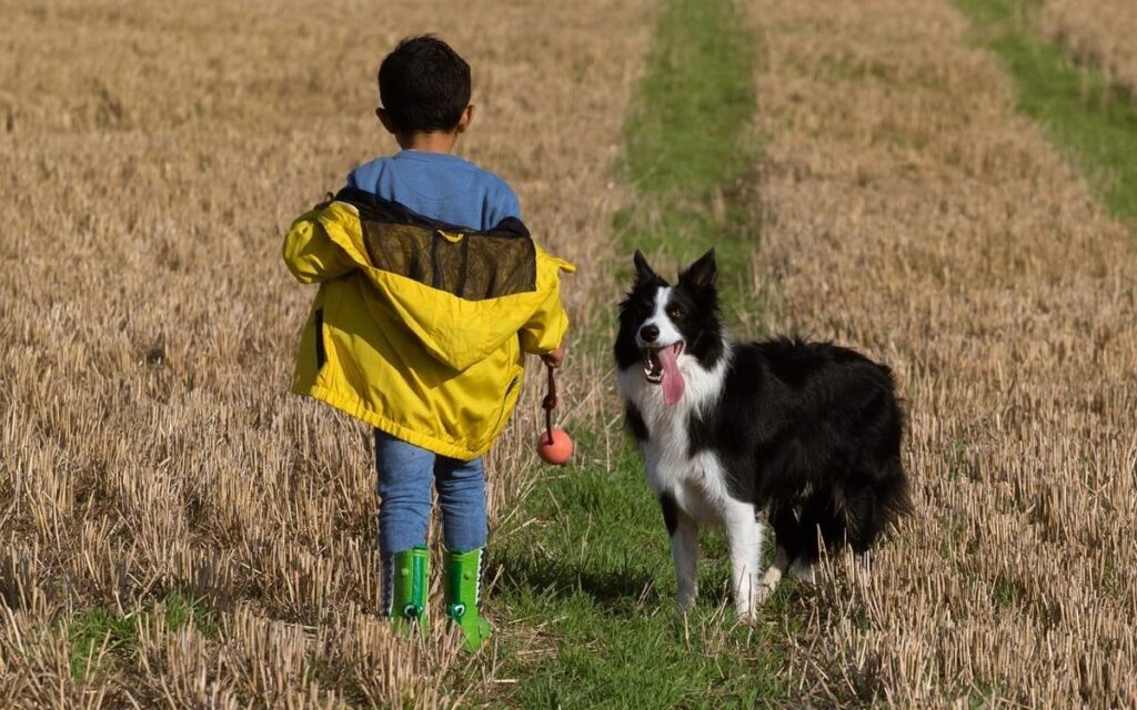    Источник: Кадр из фильма «Жабайы»