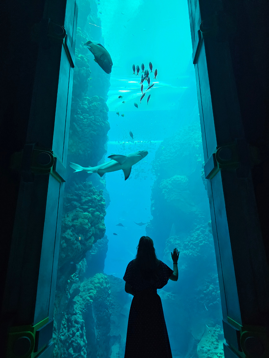 Огромные аквариумы поразят Вас до глубины души.  В более чем 58 миллионах литров воды обитают 150 видов морских животных.