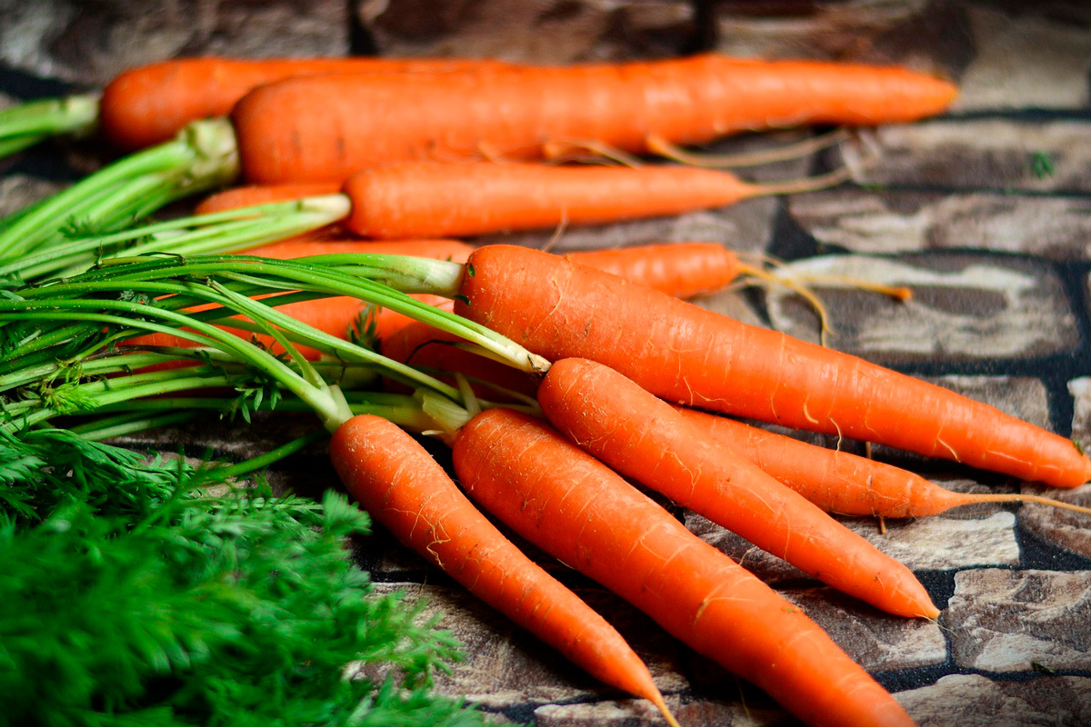    Фото: congerdesign / Pixabay.com