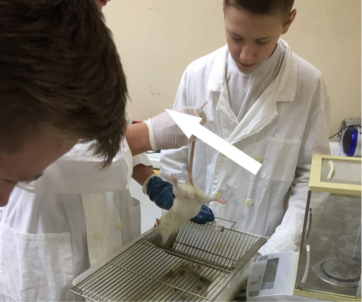    Щёлково-14: тайные эксперименты на грани биологической войны