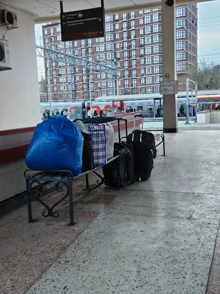 Наш багаж, 7 сумок