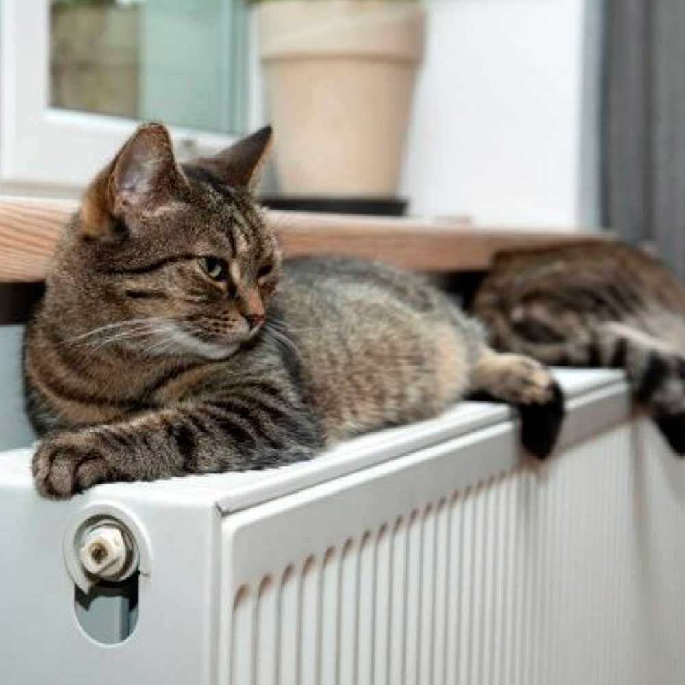 Подробнее https://prometey54.ru/info/articles/tverdotoplivnye-kotly/pochemu-kotel-ne-nagrevaet-vodu-v-sisteme-otopleniya-doma/