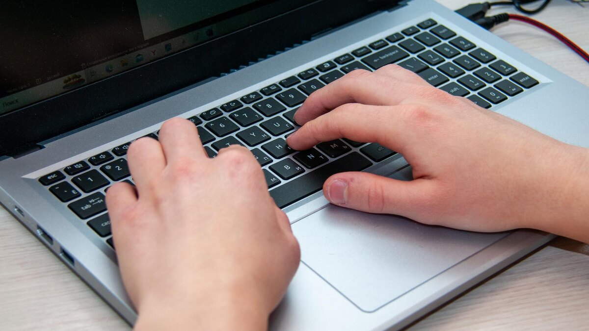    Фото: Svetlana Vozmilova/globallookpress.com