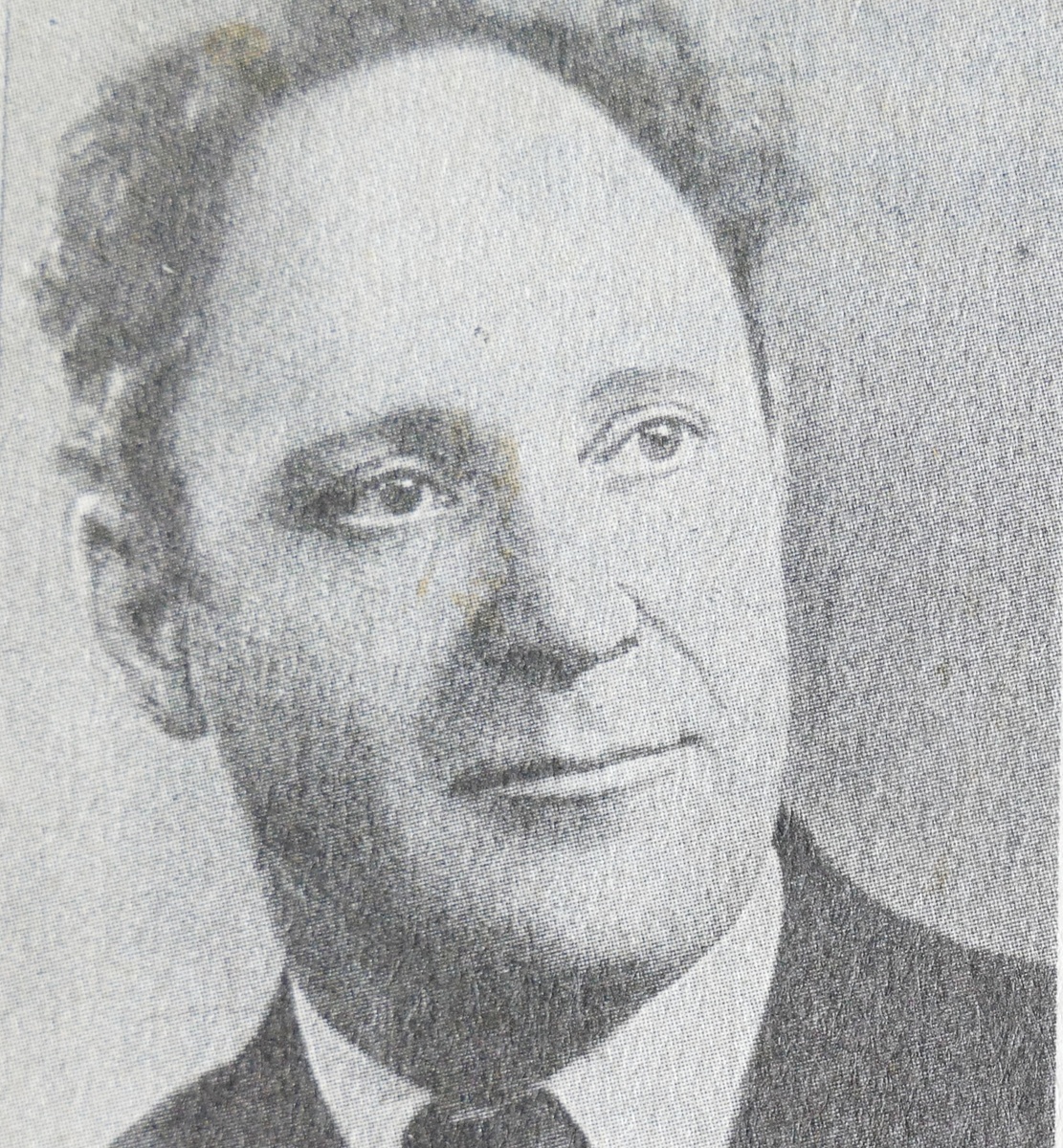 Минель Левин