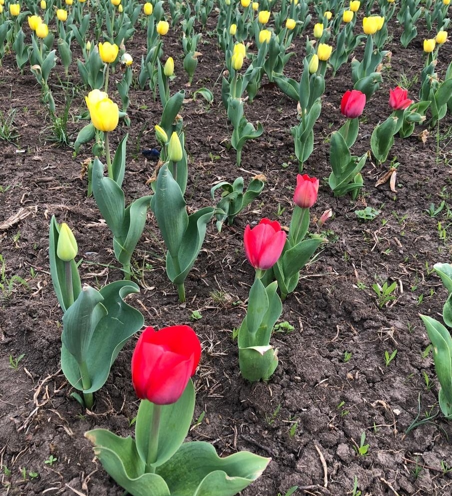 Весеннее обновление