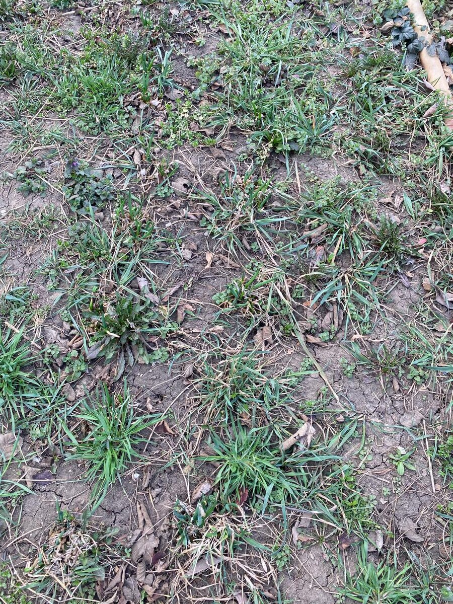 После зимовки