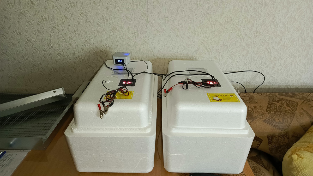 Слева куриные яйца крутятся, справа бегунков)