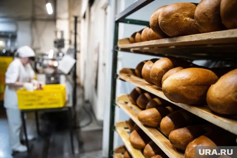 При необходимости пермские антимонопольщики готовы принять строгие меры реагирования. Фото: Илья Московец © URA.RU