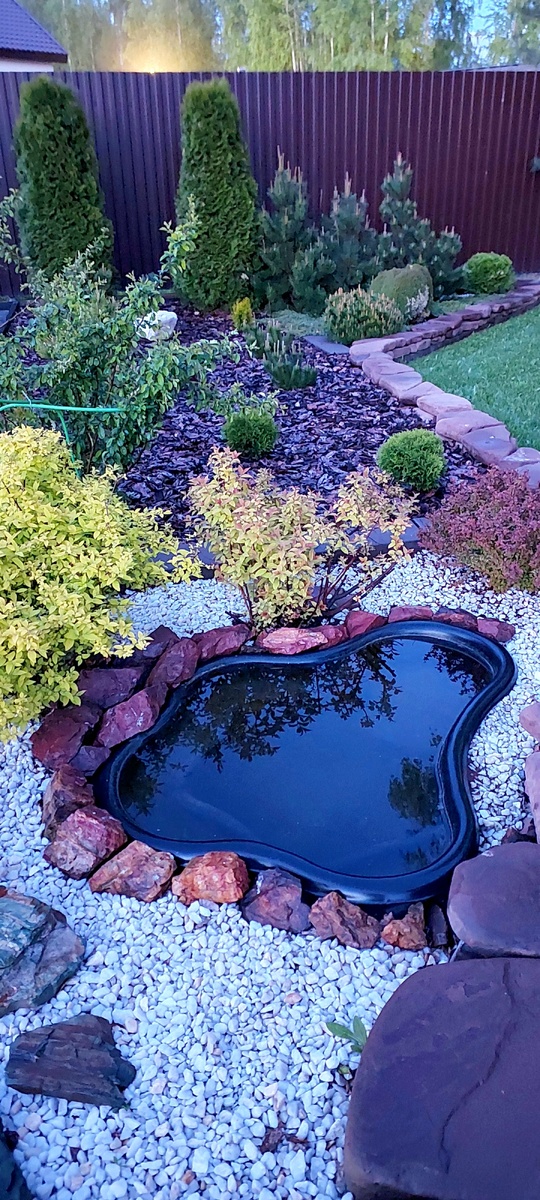 Мой любимый