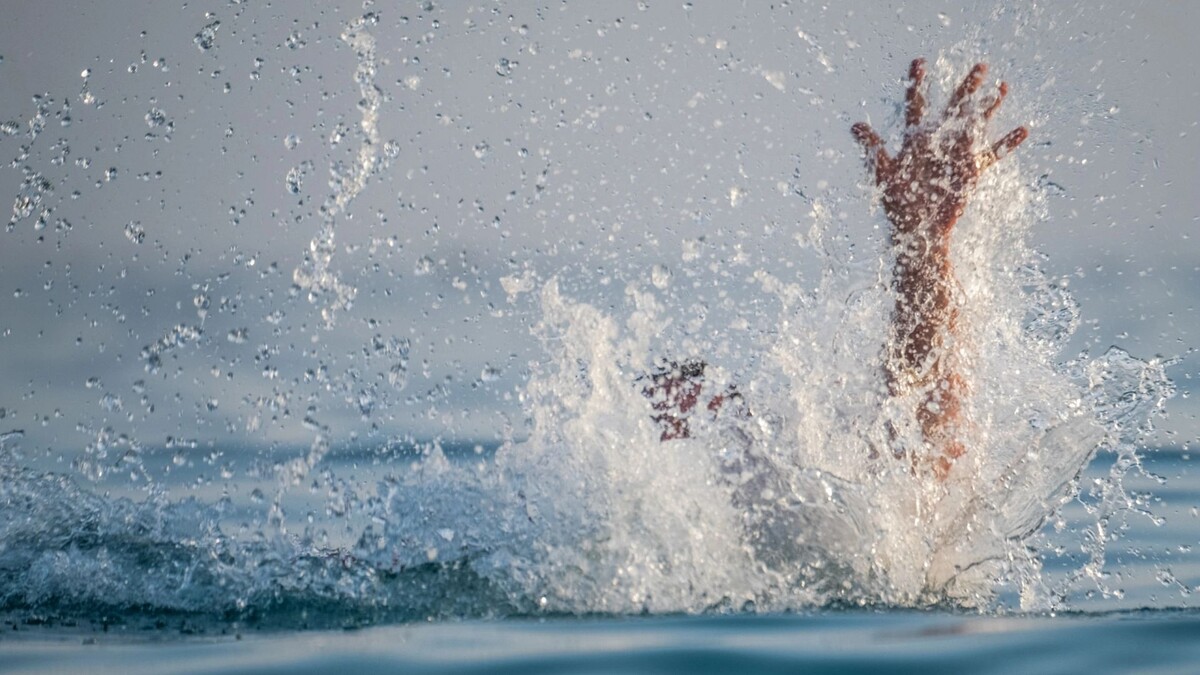    Фото: Dudarev Mikhail/Shutterstock/Fotodom