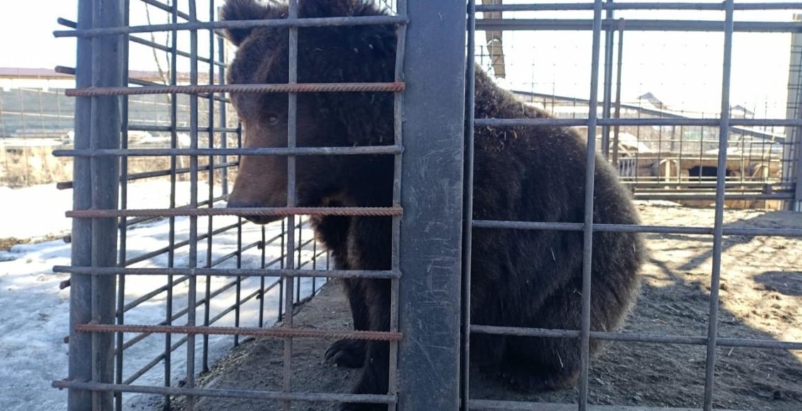    Фото: Росприроднадзор