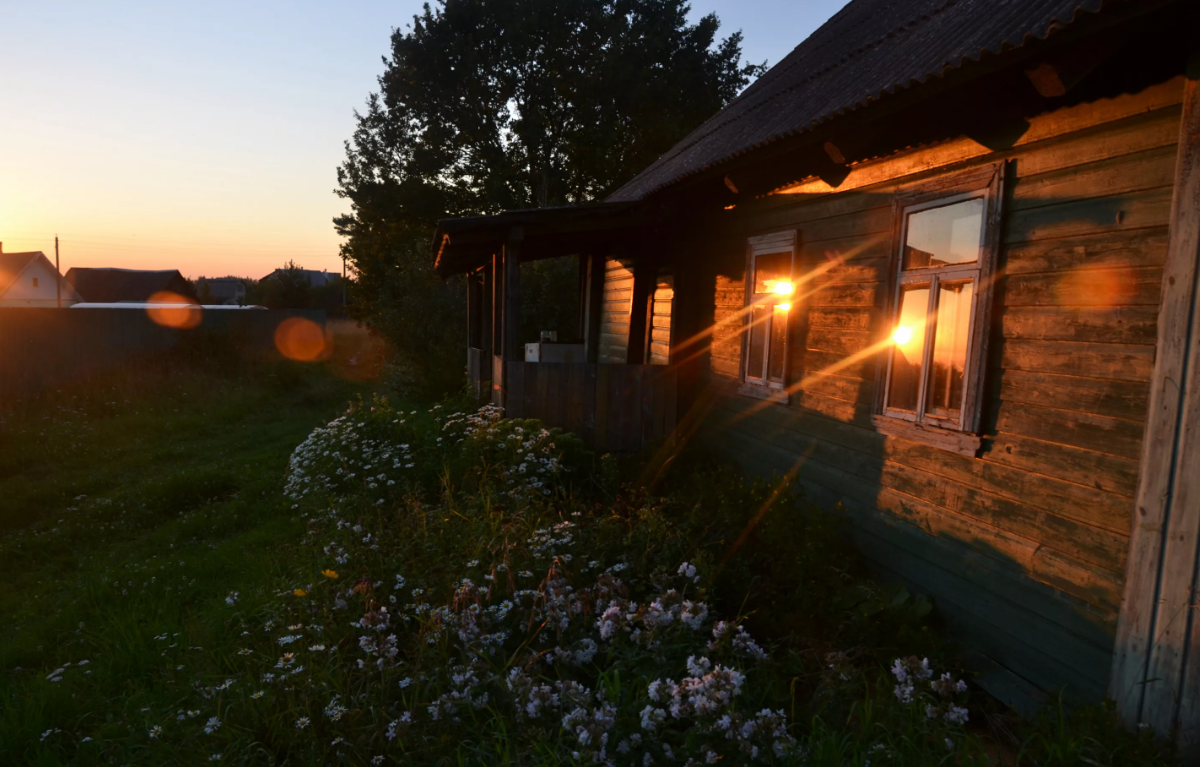 Яндекс картинки