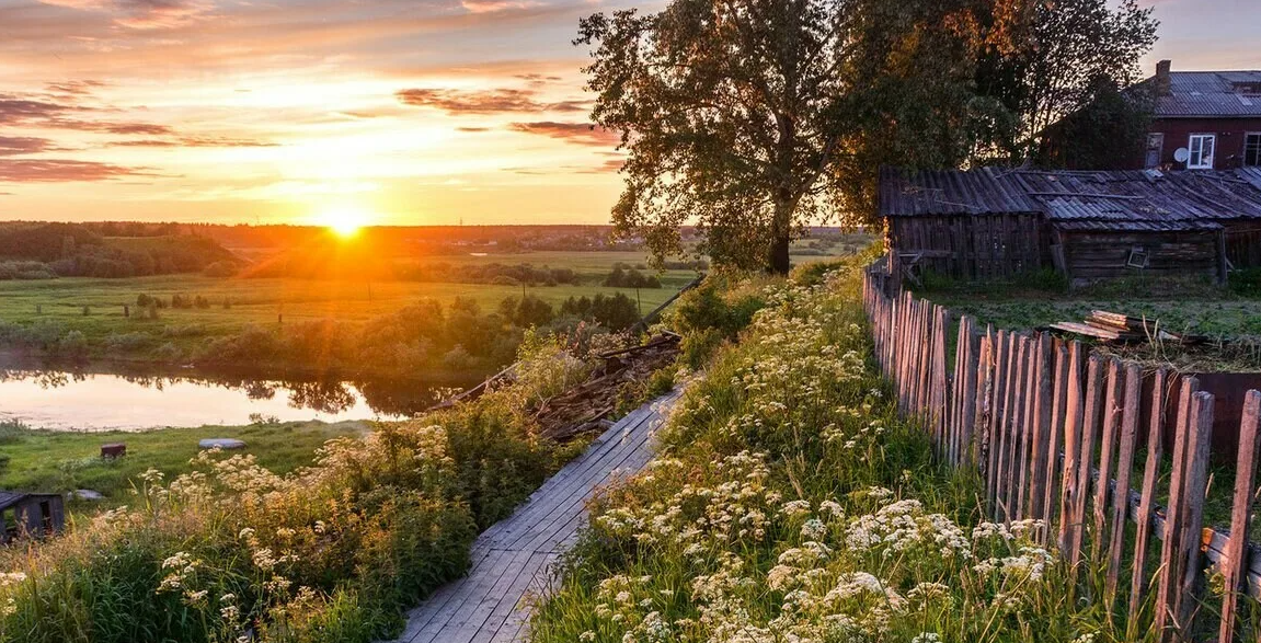 Яндекс картинки