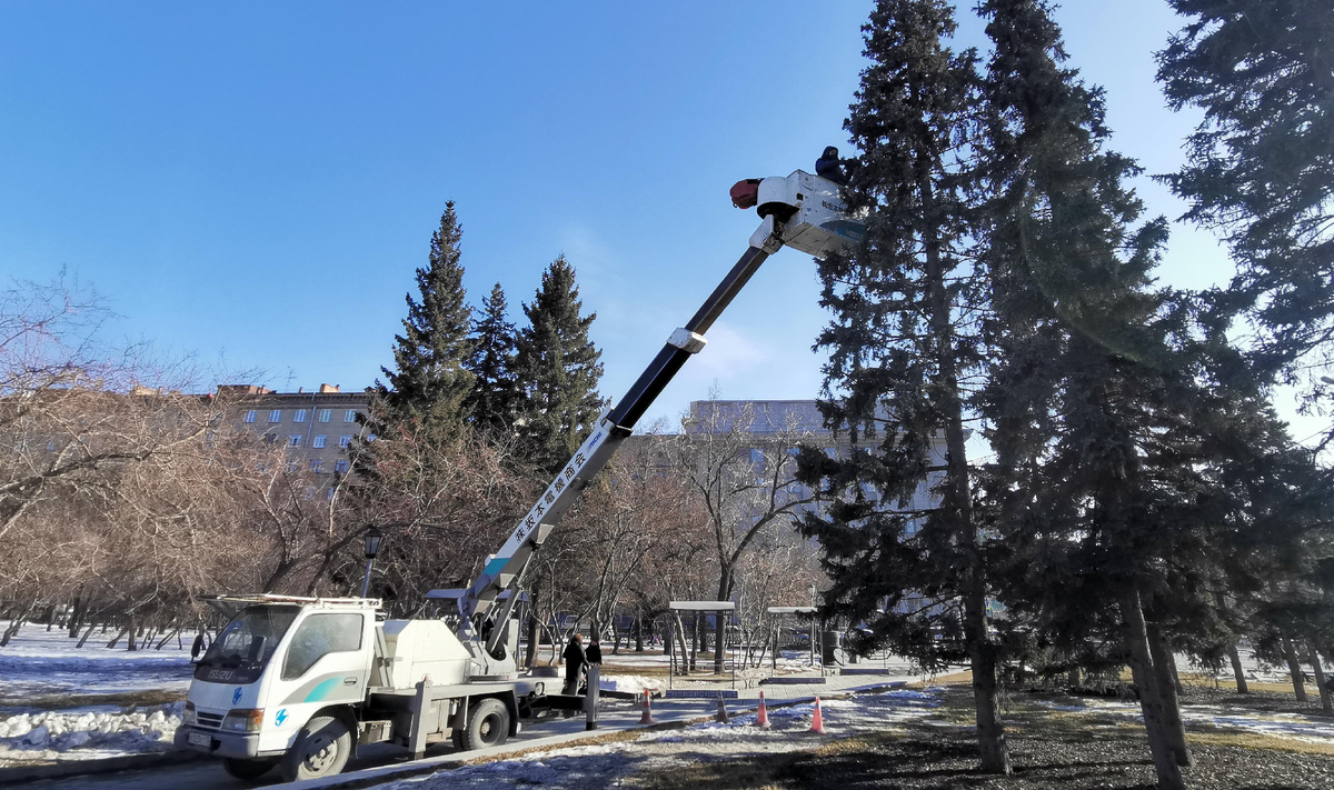 Фото: nsknews.info