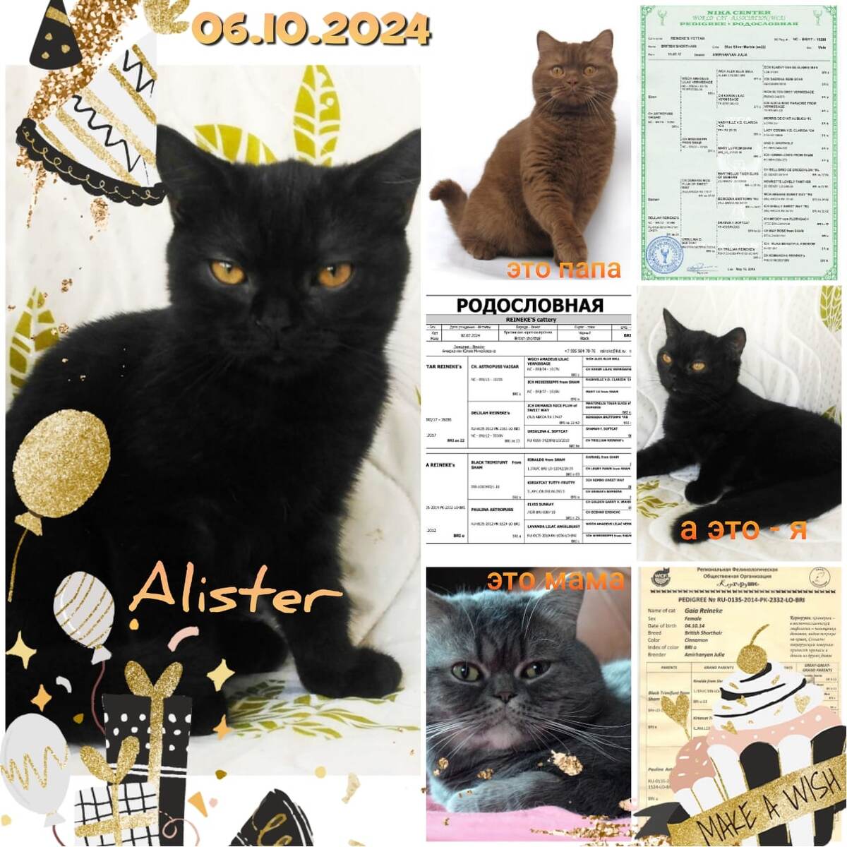 Два пушистых чуда: Алистер и Тэссиэль