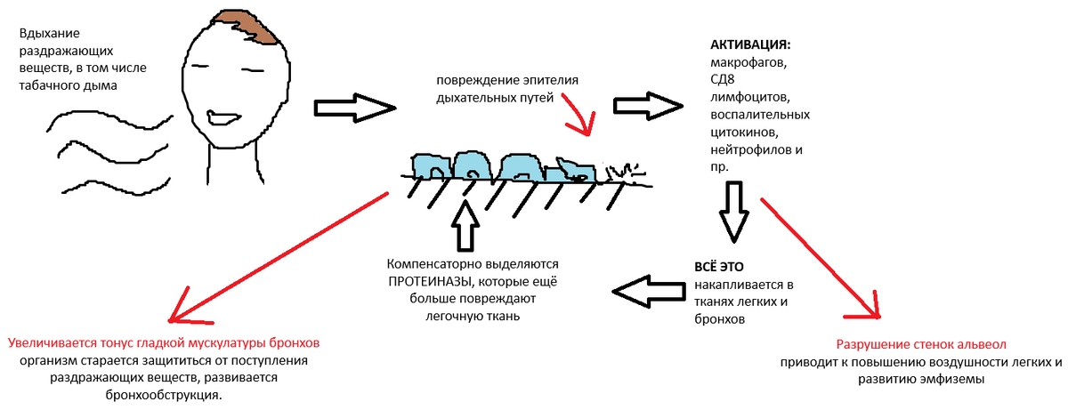 рисунок автора