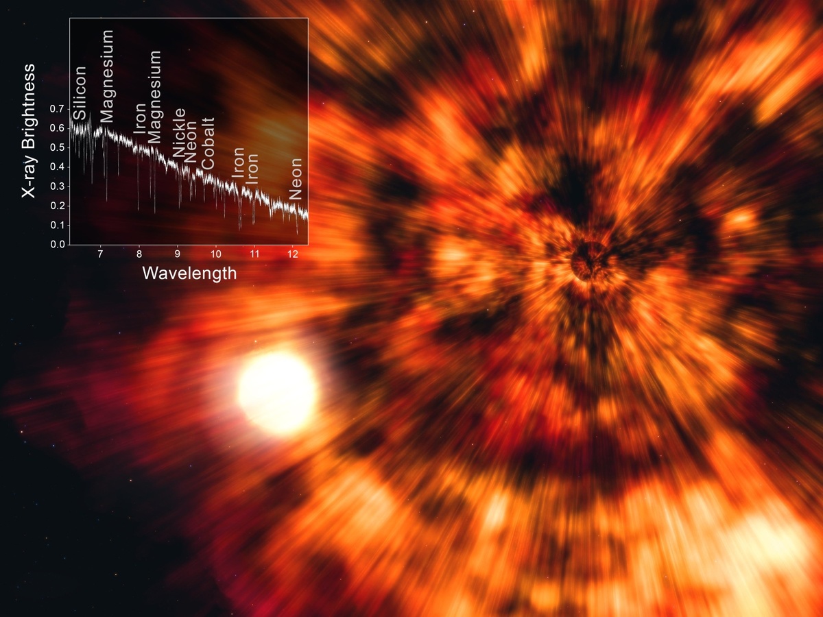 Источник: NASA / CXC / Technion / N. Keshet et al; /SAO /M. Weiss  📷
