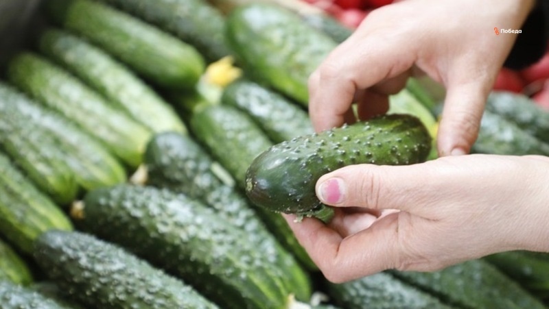      Фото: ИА «Победа26»