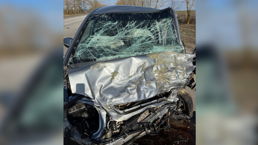 Фото: ГУ МВД по Воронежской области