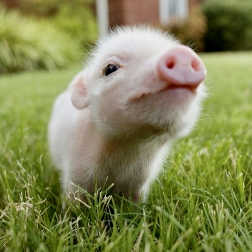 Фотография взята из открытых источников в Интернете