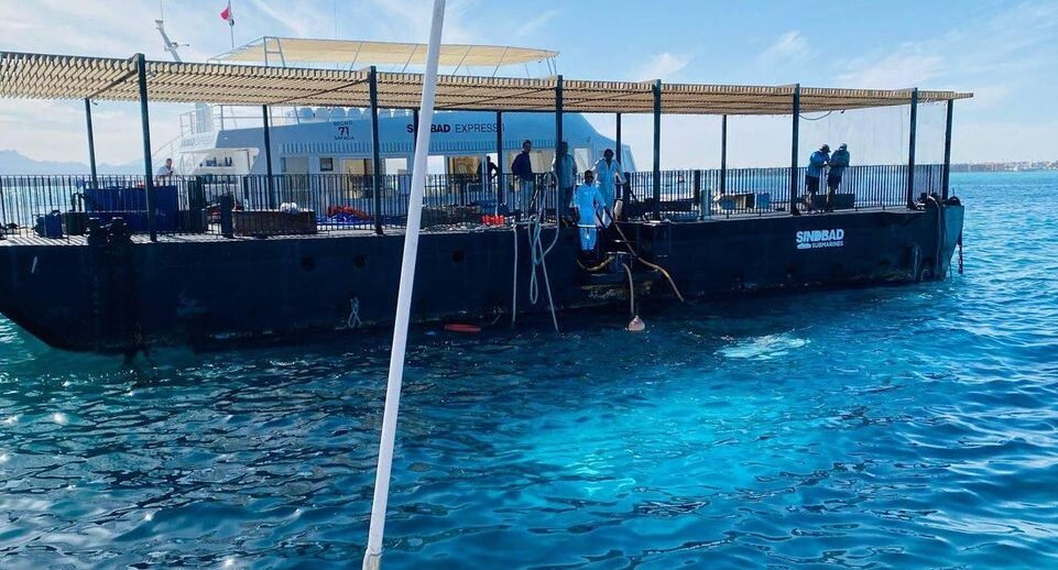    Ali Awad/XinHua / www.globallookpress.com