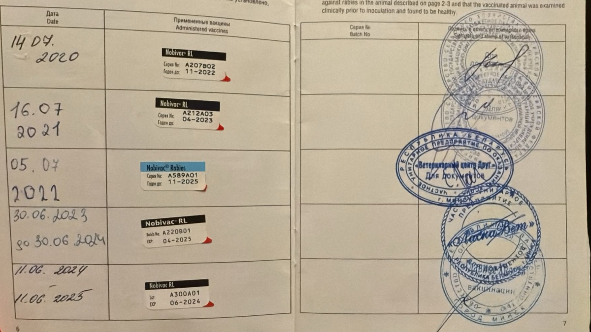 Пример оформления ветеринарного паспорта