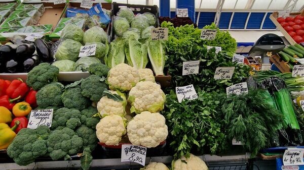    © Sputnik / Александр Жибуль