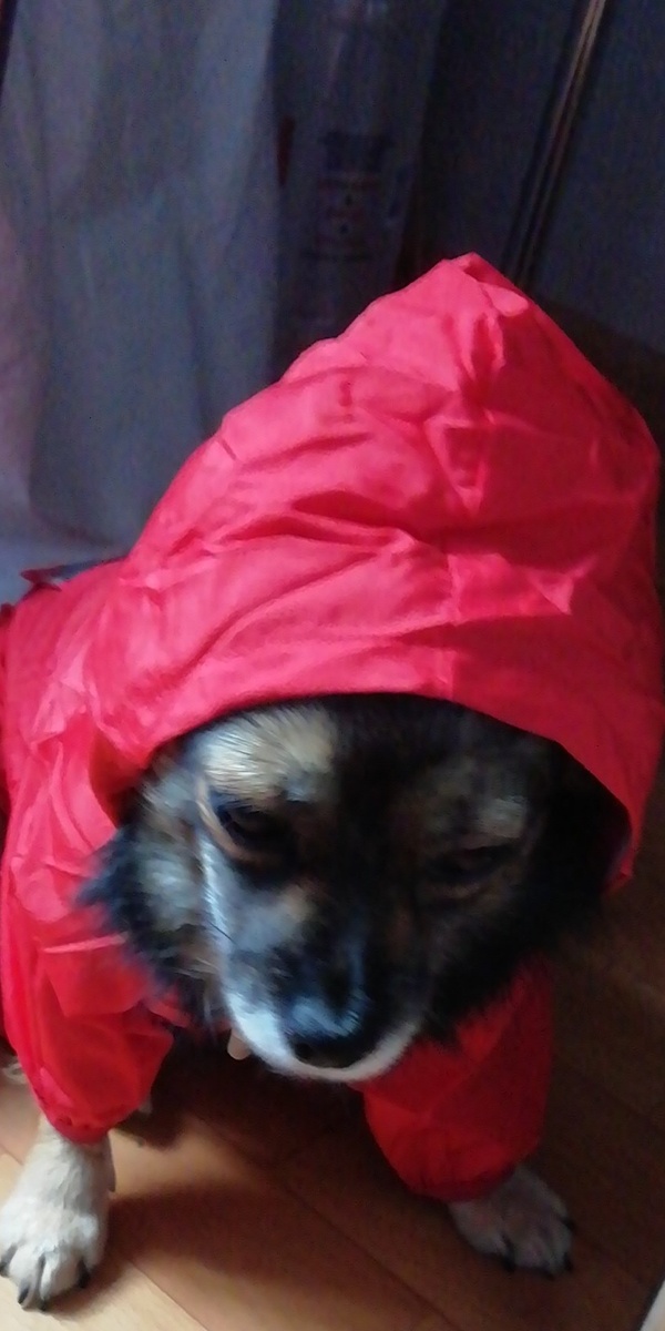 #МОЯБАРЫШНЯ#ОТДЫХ#