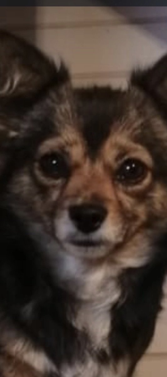 #СЧАСТЬЕВНУТРИ#РЕЛАКС#