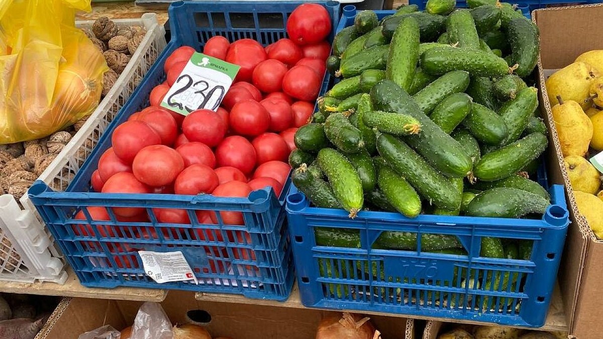    Фото: телеканал «Краснодар»