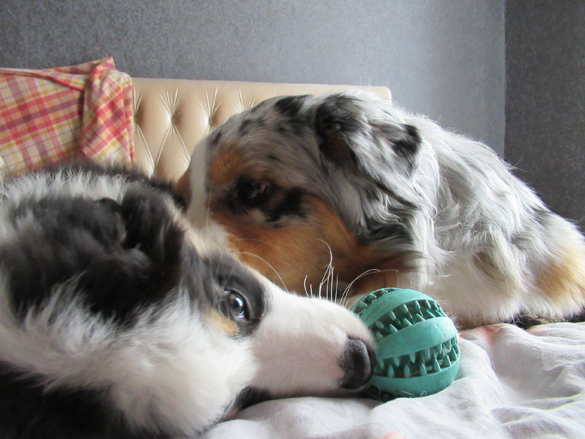 Первое совместное доброе утро