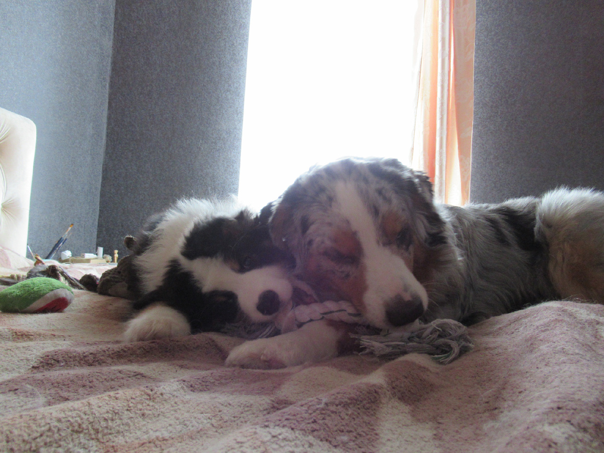 Тефтелина притащила все свое барахло к мелкой на кровать