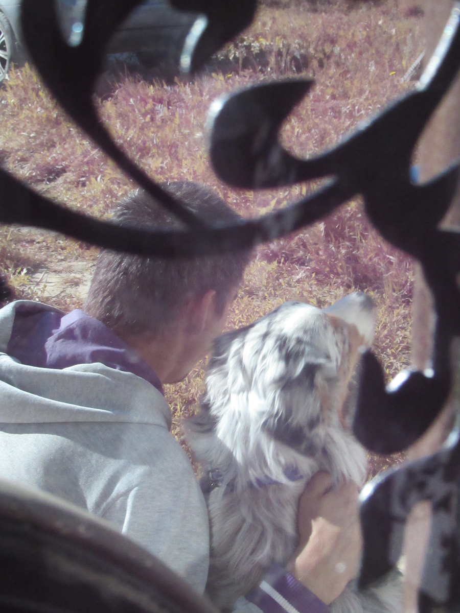 Муж вышел на крылечко извиняться перед барыней