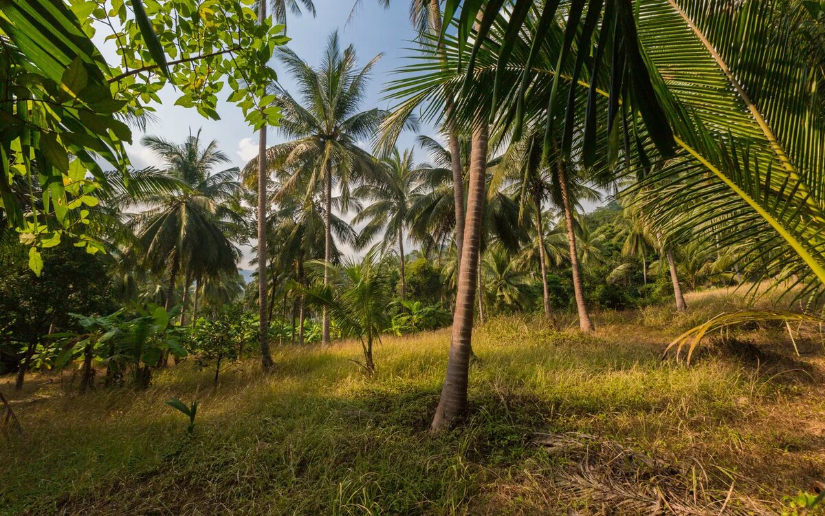 Источник Яндекс артинки