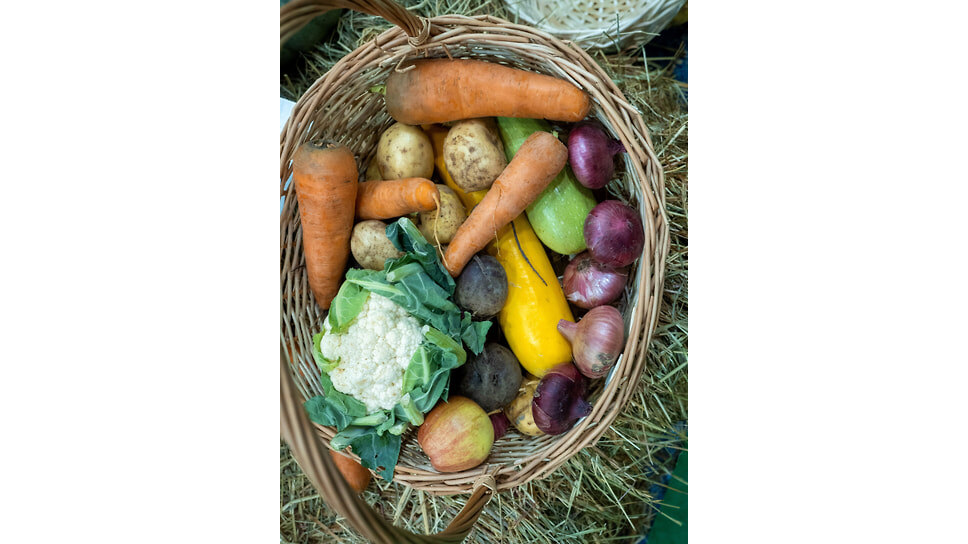 Фото: Евгений Павленко / Коммерсантъ